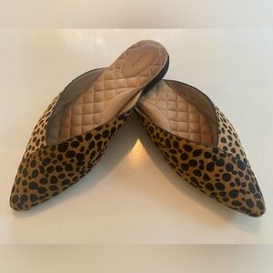 EUC - Birdies Swan pointed toe flat mule, mini cheetah calf-hair, W8